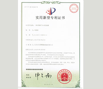各项专利